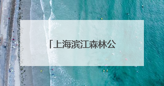 上海滨江森林公园绣球花展启幕，近5万株绣球花海打造治愈系画面