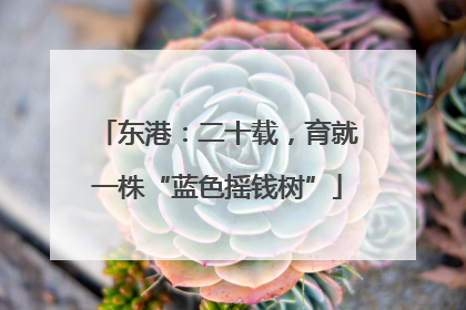 东港：二十载，育就一株“蓝色摇钱树”
