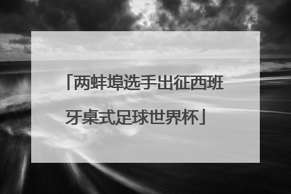 两蚌埠选手出征西班牙桌式足球世界杯