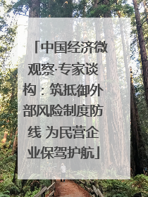 中国经济微观察·专家谈构：筑抵御外部风险制度防线 为民营企业保驾护航