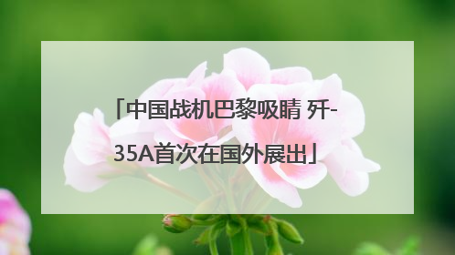 中国战机巴黎吸睛 歼-35A首次在国外展出