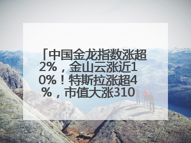 中国金龙指数涨超2%，金山云涨近10%！特斯拉涨超4%，市值大涨3100亿元！比特币涨回11万美元关口