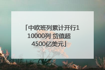 中欧班列累计开行110000列 货值超4500亿美元