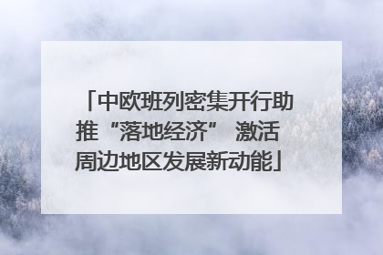 中欧班列密集开行助推“落地经济” 激活周边地区发展新动能