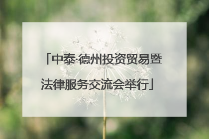 中泰·德州投资贸易暨法律服务交流会举行