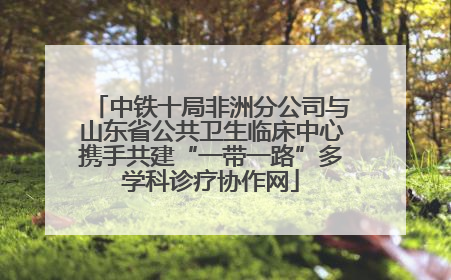 中铁十局非洲分公司与山东省公共卫生临床中心携手共建“一带一路”多学科诊疗协作网