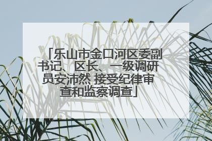 乐山市金口河区委副书记、区长、一级调研员安沛然 接受纪律审查和监察调查