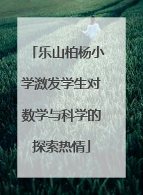乐山柏杨小学激发学生对数学与科学的探索热情
