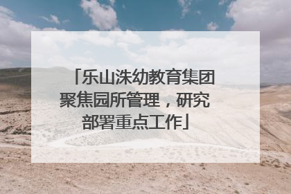 乐山洙幼教育集团聚焦园所管理，研究部署重点工作
