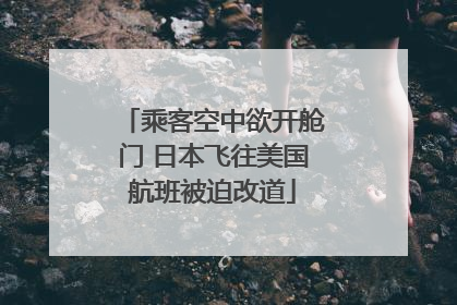 乘客空中欲开舱门 日本飞往美国航班被迫改道