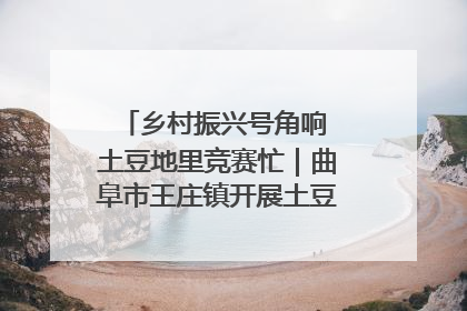 乡村振兴号角响 土豆地里竞赛忙｜曲阜市王庄镇开展土豆收获劳动竞赛