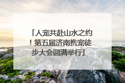 人宠共赴山水之约！第五届济南携宠徒步大会圆满举行
