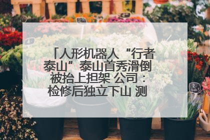 人形机器人“行者泰山”泰山首秀滑倒被抬上担架 公司：检修后独立下山 测试就是为暴露问题