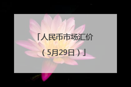 人民币市场汇价（5月29日）