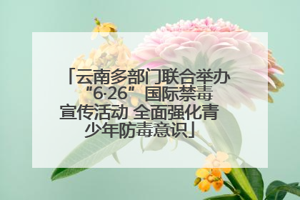 云南多部门联合举办“6·26”国际禁毒宣传活动 全面强化青少年防毒意识