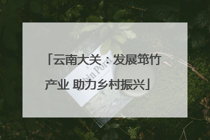 云南大关：发展筇竹产业 助力乡村振兴