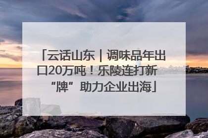 云话山东｜调味品年出口20万吨！乐陵连打新“牌”助力企业出海