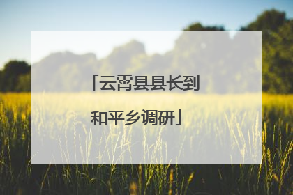 云霄县县长到和平乡调研
