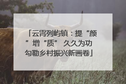 云霄列屿镇：提“颜”增“质” 久久为功勾勒乡村振兴新画卷