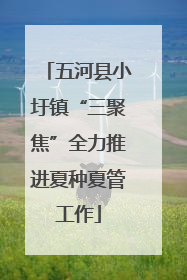 五河县小圩镇“三聚焦”全力推进夏种夏管工作