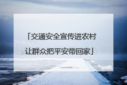交通安全宣传进农村 让群众把平安带回家