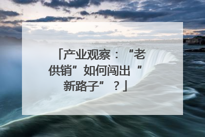 产业观察：“老供销”如何闯出“新路子”？