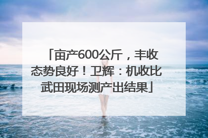 亩产600公斤，丰收态势良好！卫辉：机收比武田现场测产出结果