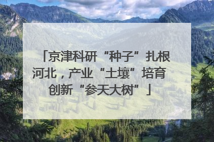 京津科研“种子”扎根河北，产业“土壤”培育创新“参天大树”