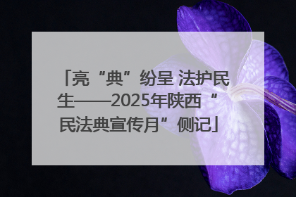 亮“典”纷呈 法护民生——2025年陕西“民法典宣传月”侧记