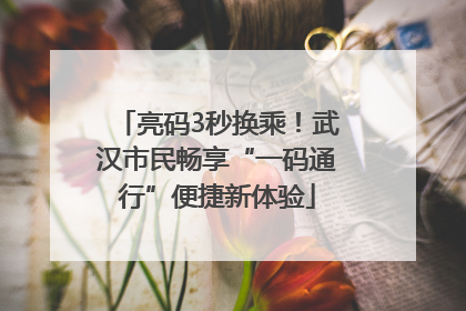 亮码3秒换乘！武汉市民畅享“一码通行”便捷新体验