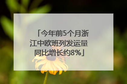 今年前5个月浙江中欧班列发运量同比增长约8%
