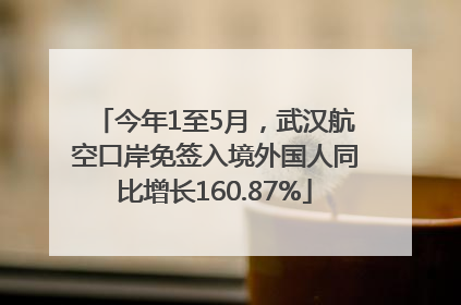 今年1至5月，武汉航空口岸免签入境外国人同比增长160.87%