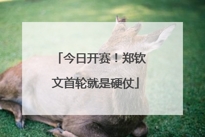 今日开赛！郑钦文首轮就是硬仗
