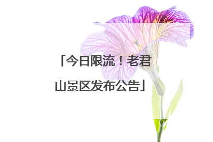 今日限流！老君山景区发布公告