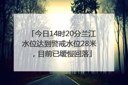 今日14时20分兰江水位达到警戒水位28米，目前已缓慢回落