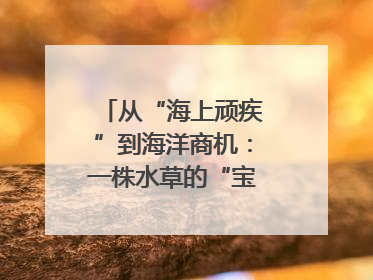 从“海上顽疾”到海洋商机：一株水草的“宝藏人生”