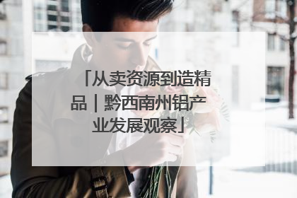从卖资源到造精品｜黔西南州铝产业发展观察