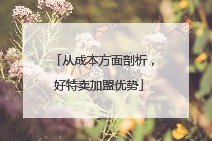 从成本方面剖析，好特卖加盟优势