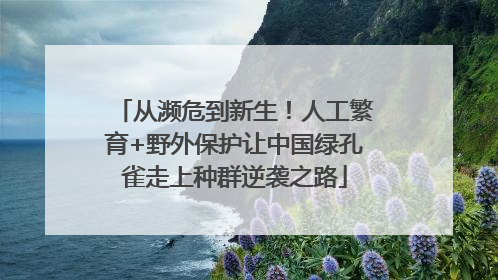 从濒危到新生！人工繁育+野外保护让中国绿孔雀走上种群逆袭之路