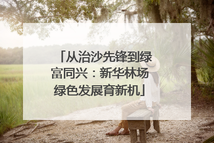 从治沙先锋到绿富同兴：新华林场绿色发展育新机