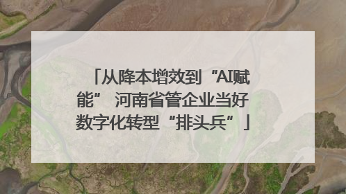 从降本增效到“AI赋能” 河南省管企业当好数字化转型“排头兵”