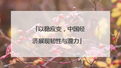 以稳应变，中国经济展现韧性与潜力