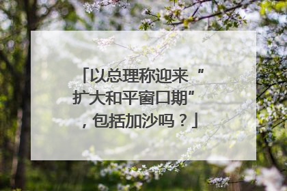 以总理称迎来“扩大和平窗口期”，包括加沙吗？
