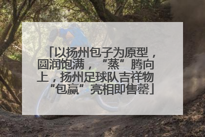 以扬州包子为原型，圆润饱满，“蒸”腾向上，扬州足球队吉祥物“包赢”亮相即售罄