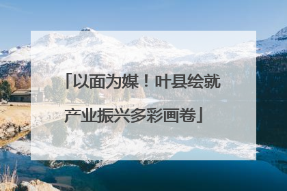 以面为媒！叶县绘就产业振兴多彩画卷