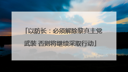 以防长：必须解除黎真主党武装 否则将继续采取行动