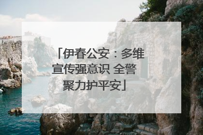 伊春公安：多维宣传强意识 全警聚力护平安