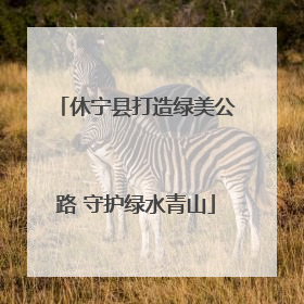 休宁县打造绿美公路 守护绿水青山
