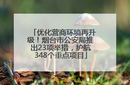 优化营商环境再升级！烟台市公安局推出23项举措，护航348个重点项目
