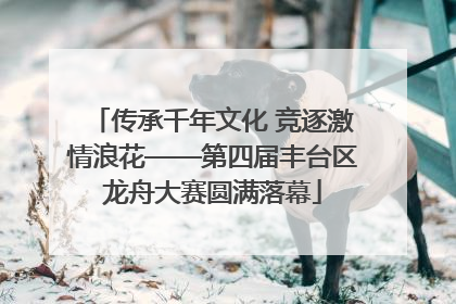 传承千年文化 竞逐激情浪花——第四届丰台区龙舟大赛圆满落幕